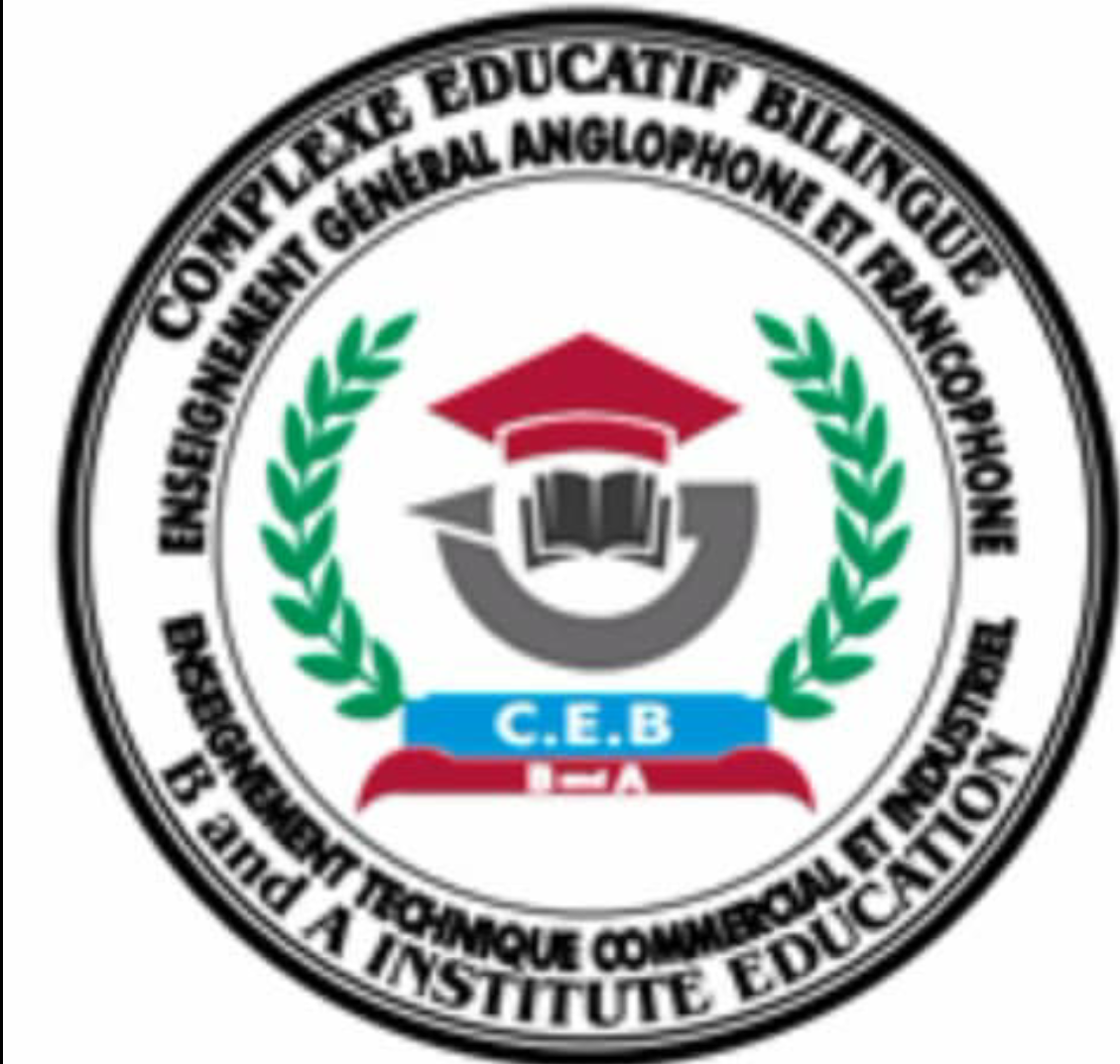 B & A Institute Logo